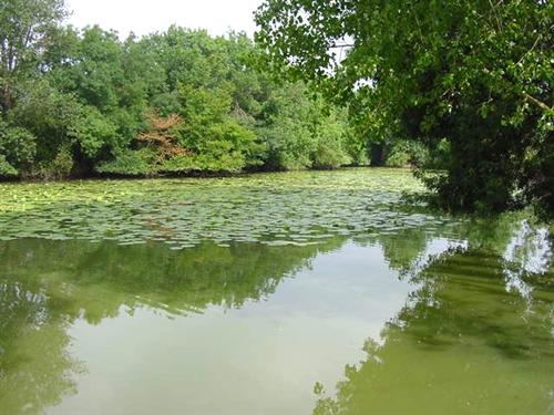 etang truite 44