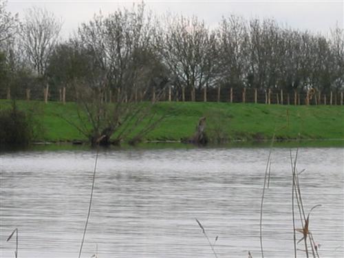 etang truite 44