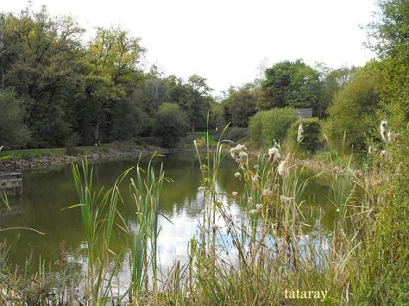 etang truite 79