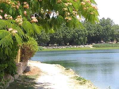 peche truite issole