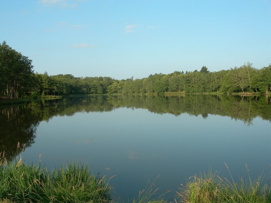 etang truite 16